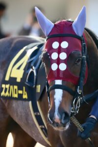 投稿についてもっと詳しく 【勝利馬情報】スズハローム(2026.4.4)