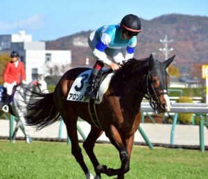 投稿についてもっと詳しく 【勝利馬情報】アロンソア(2025.11.22)