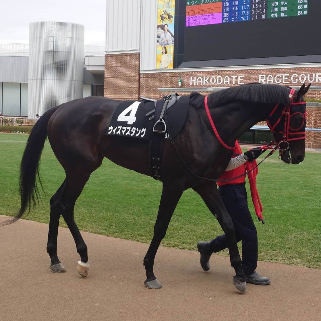 ウィズマスタング5