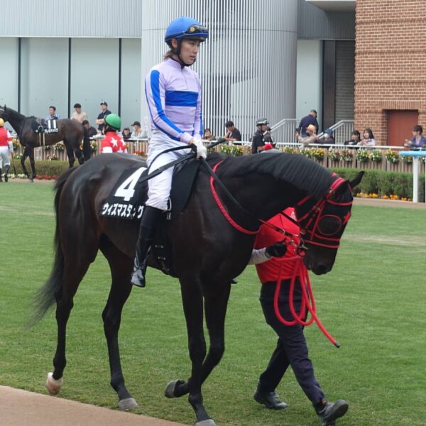 ウィズマスタング6