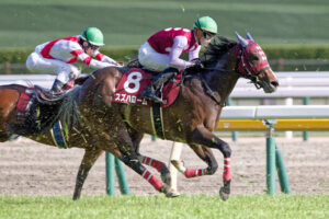 投稿についてもっと詳しく 【勝利馬情報】スズハローム(2026.2.14)